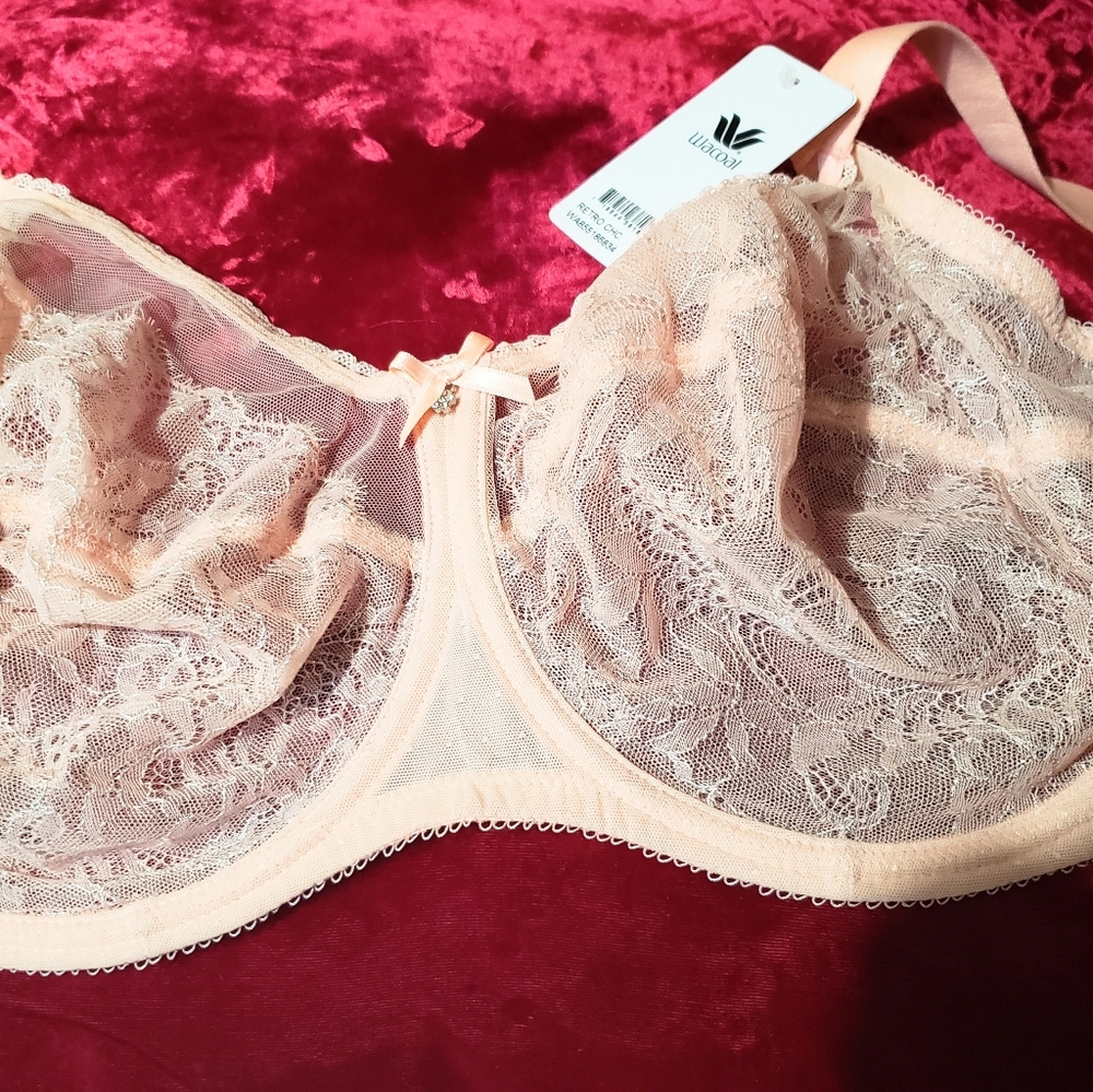Wacoal "Retro Chic" underwire bra pale peachy pink color. NWT Size 38G.